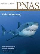 //mmbiz.qpic.cn/mmbiz_png/dEZL8mDDTbxbFTiaoB445swFYMdsiaJ41jmKhmicic4Ltvya8vtkrVlkAS1DOROicv6fPLCPKib39QN0y4LtTKbVP0lg/640?wx_fmt=png&wxfrom=5&wx_lazy=1&wx_co=1